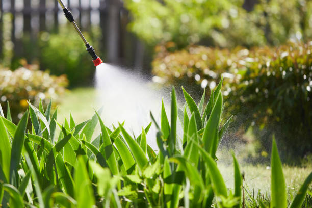 24/7 Emergency Cockroach Control experts in Milton, WV