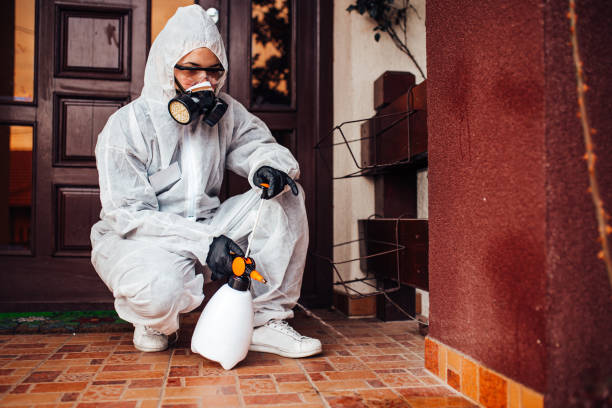 Reliable Cockroach Control contractor in Milton, WV by Nex Pest Control