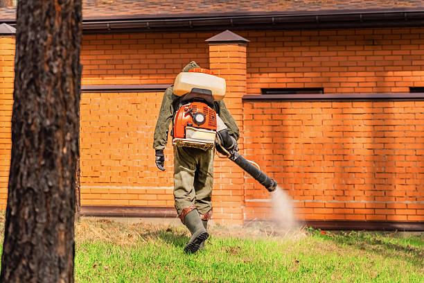 Top rated local Cockroach Control specialists in Milton, WV